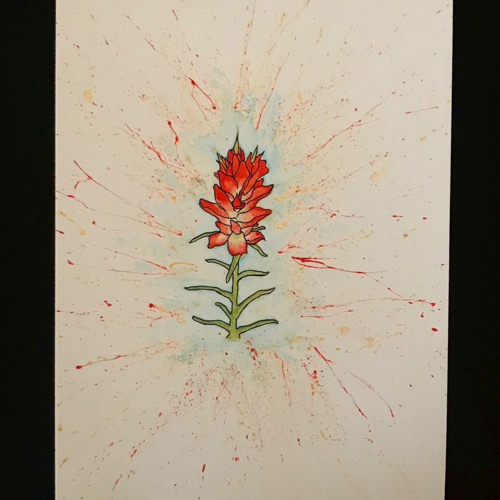 Indian Paintbrush Watercolor Print(5x7 inches)